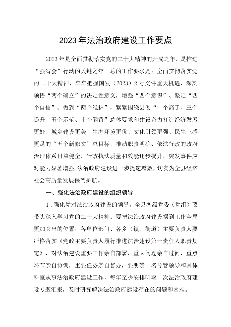 2023年法治政府建设工作要点.docx_第1页