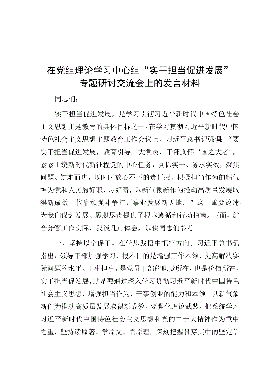 在党组理论学习中心组“实干担当促进发展”专题研讨交流会上的发言材料.docx_第1页