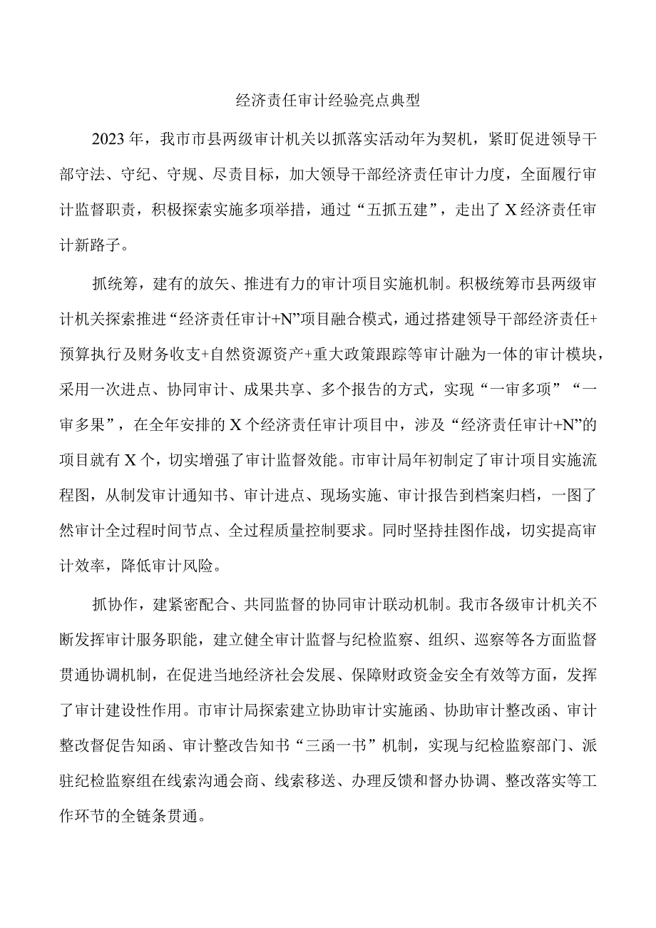 经济责任审计经验亮点典型.docx_第1页