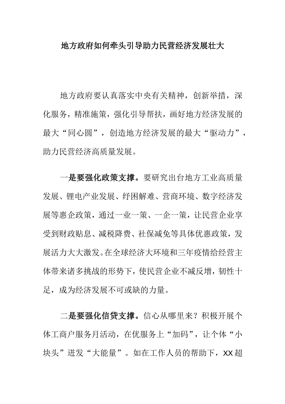 地方政府如何牵头引导助力民营经济发展壮大.docx_第1页