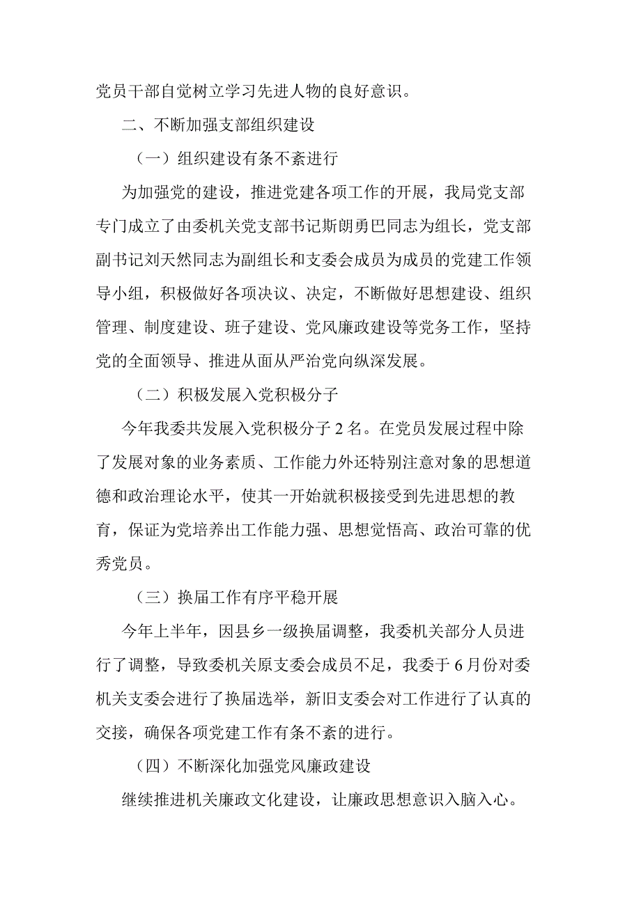 纪委监委党支部上半年工作总结.docx_第2页