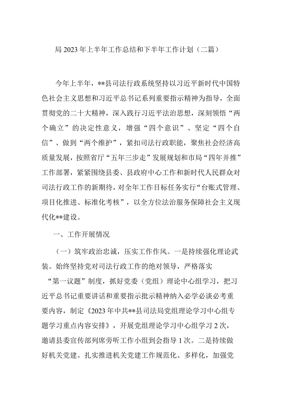 局2023年上半年工作总结和下半年工作计划(二篇).docx_第1页