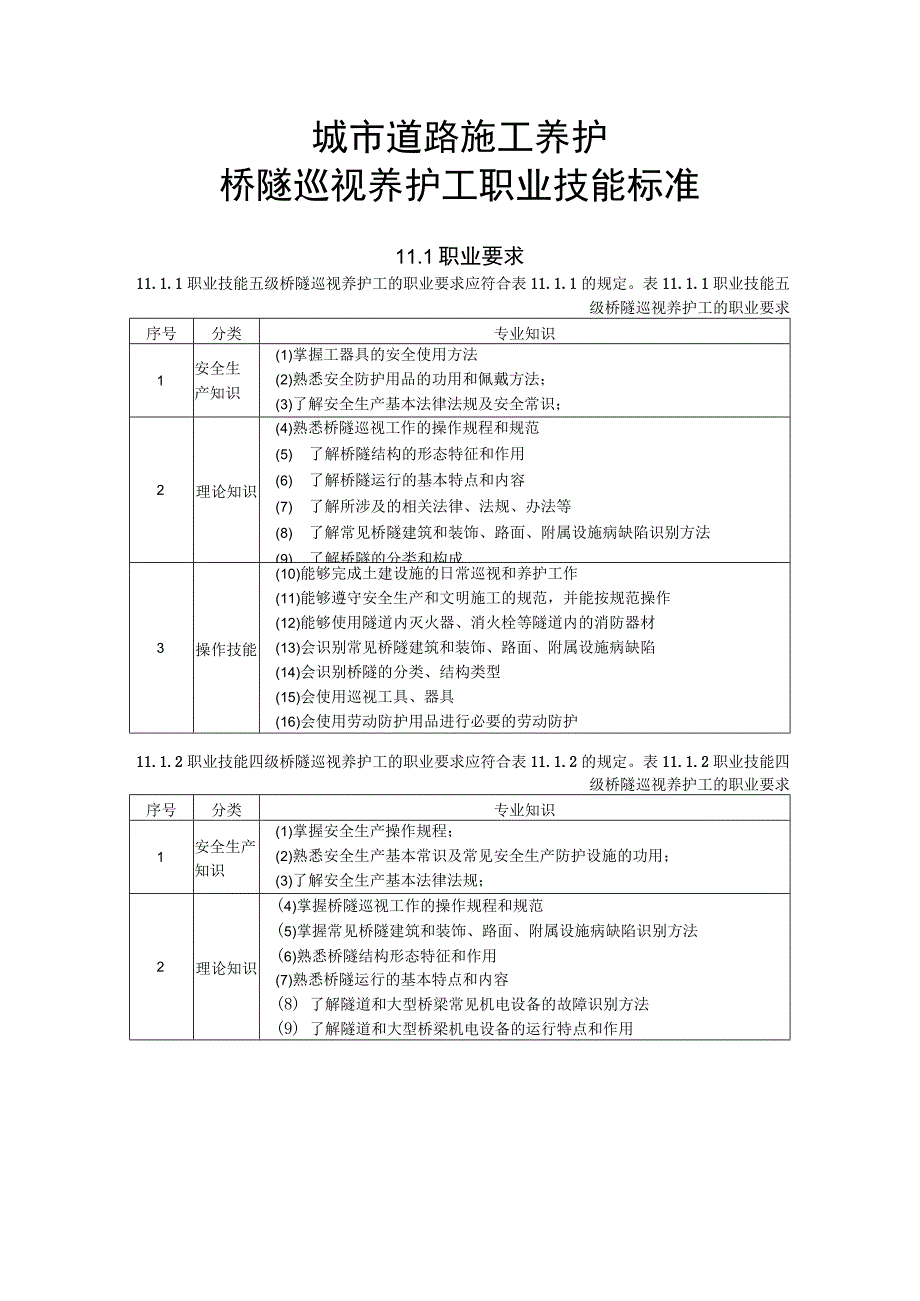 城市道路施工养护桥隧巡视养护工职业技能标准.docx_第1页