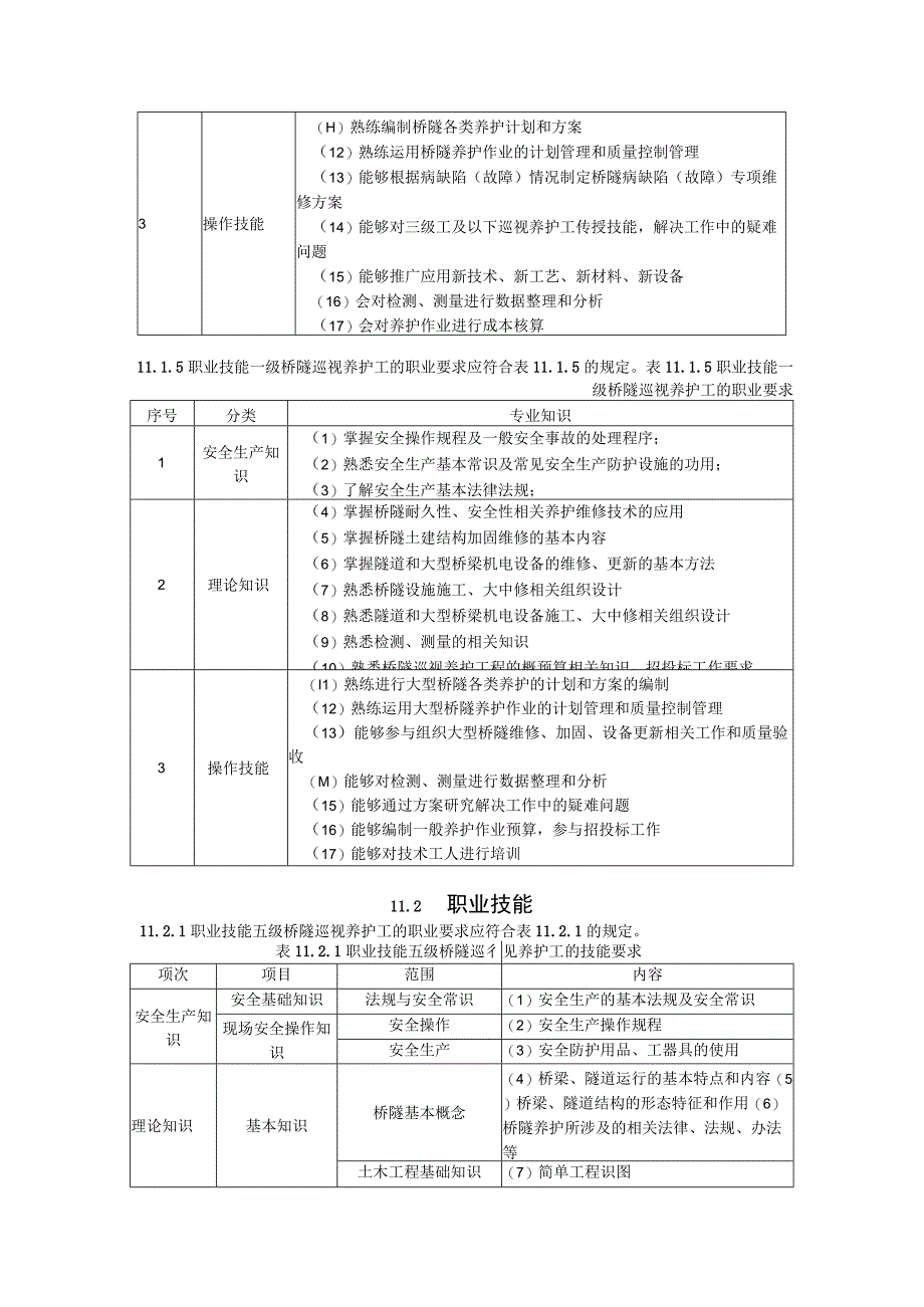 城市道路施工养护桥隧巡视养护工职业技能标准.docx_第3页