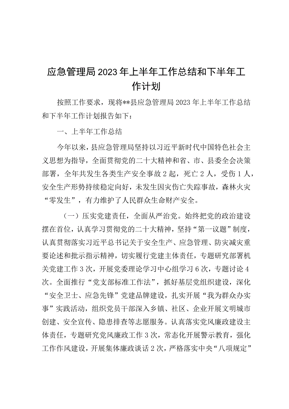 应急管理局2023年上半年工作总结和下半年工作计划.docx_第1页