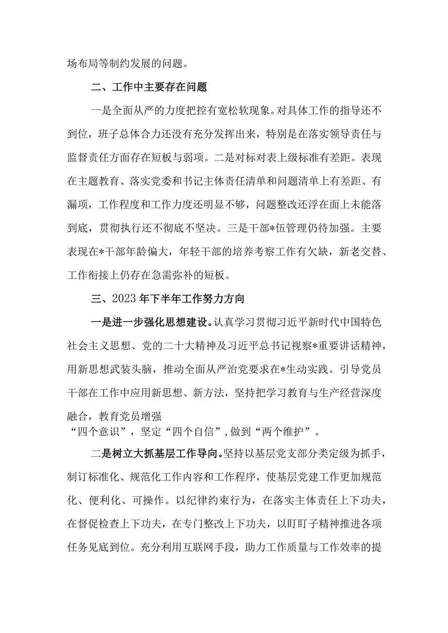 国企党委2023年上半年落实全面从严治党主体责任情况自查报告.docx_第3页