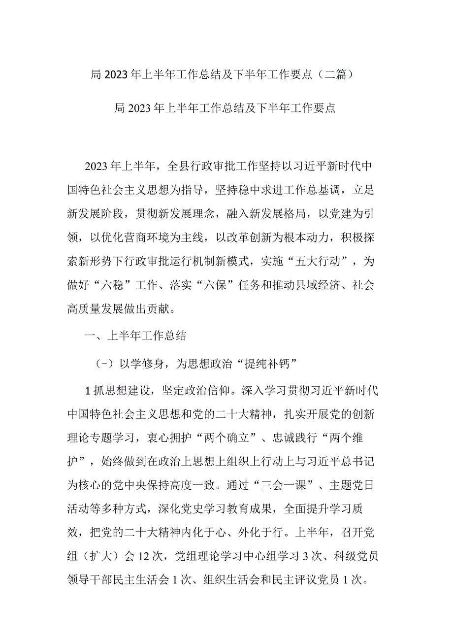 局2023年上半年工作总结及下半年工作要点(二篇).docx_第1页