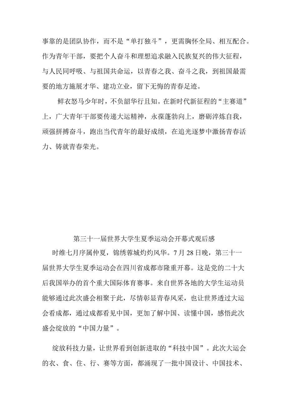 第三十一届世界大学生夏季运动会开幕式观后感3篇.docx_第3页