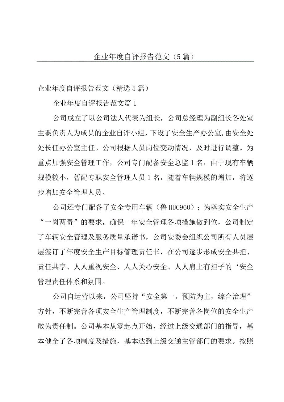 企业年度自评报告范文（5篇）.docx_第1页