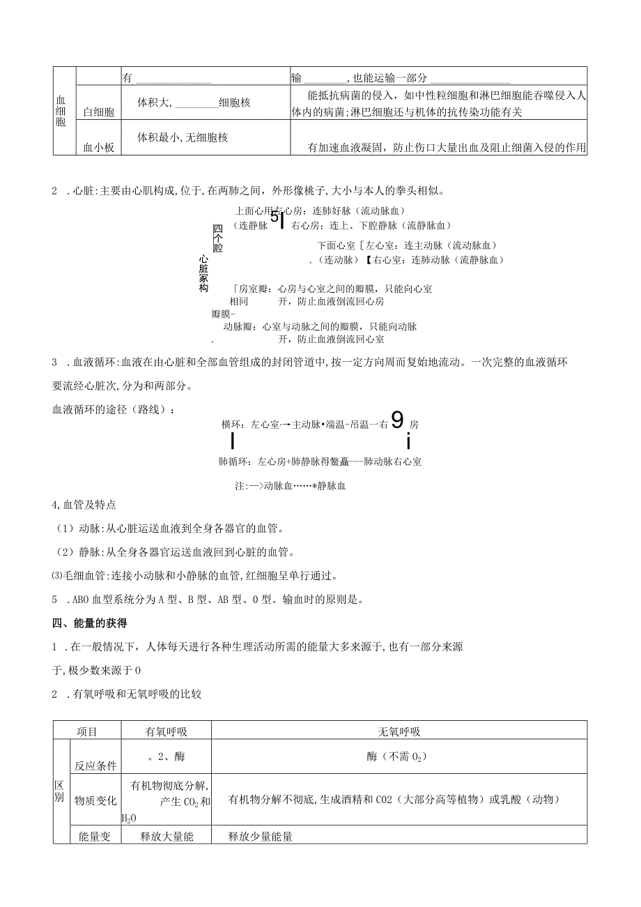 第04章 代谢与平衡公开课.docx_第2页