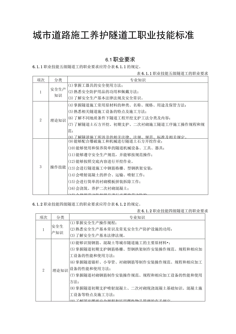 城市道路施工养护隧道工职业技能标准.docx_第1页