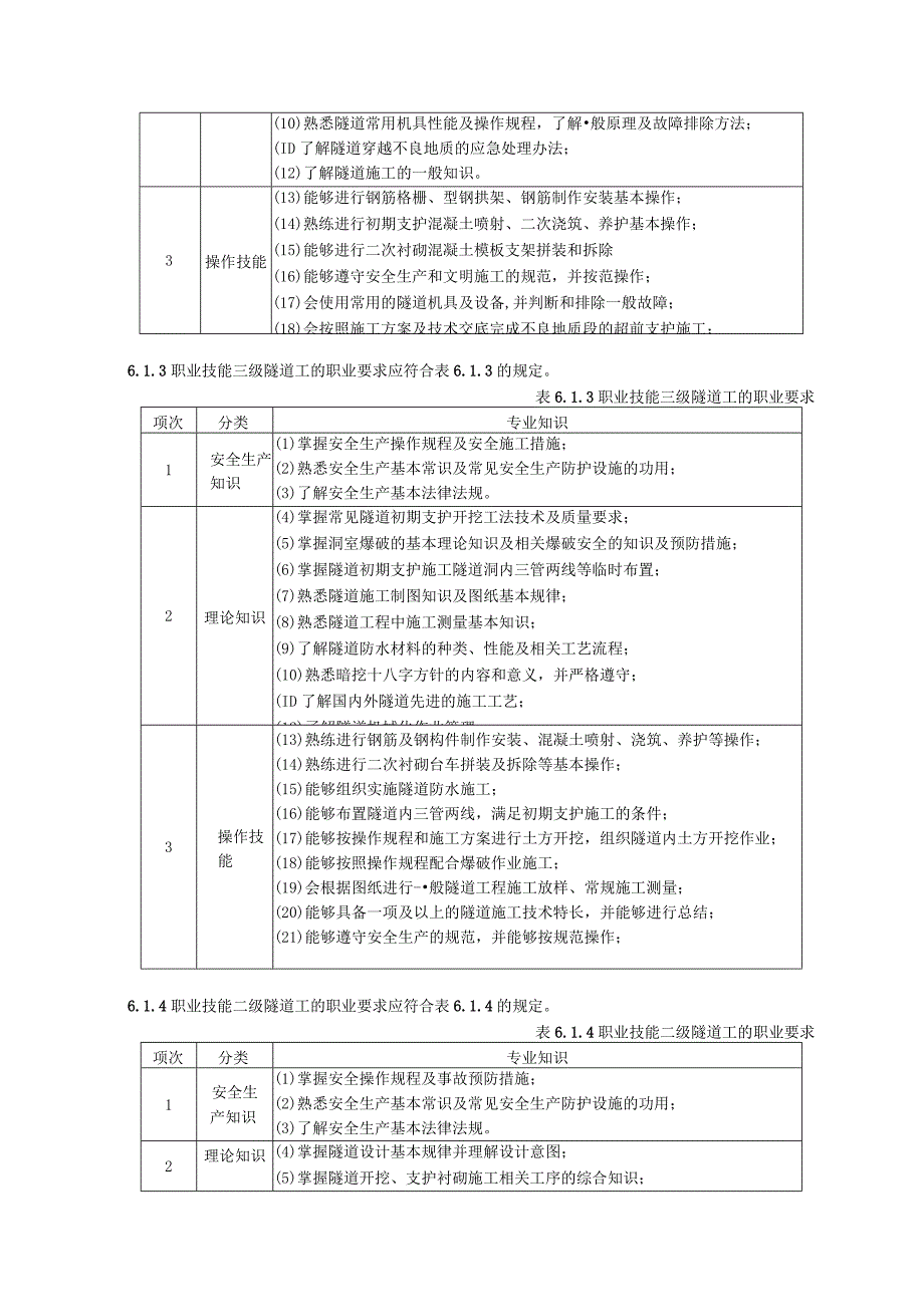 城市道路施工养护隧道工职业技能标准.docx_第2页