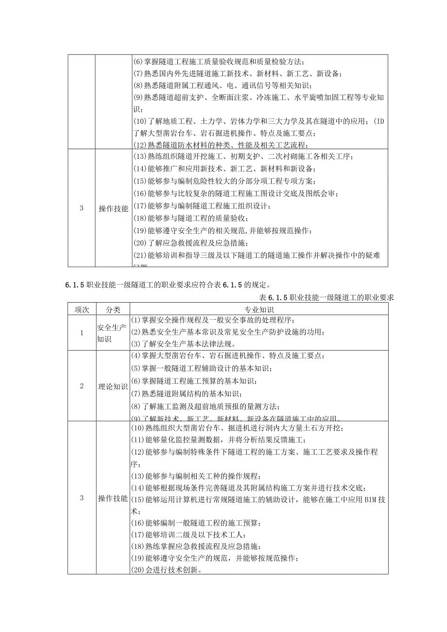 城市道路施工养护隧道工职业技能标准.docx_第3页