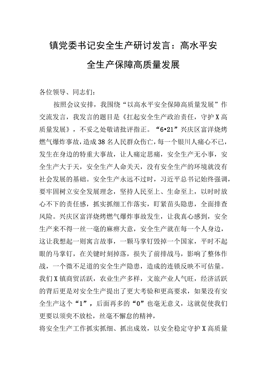 镇党委书记安全生产研讨发言：高水平安全生产保障高质量发展.docx_第1页