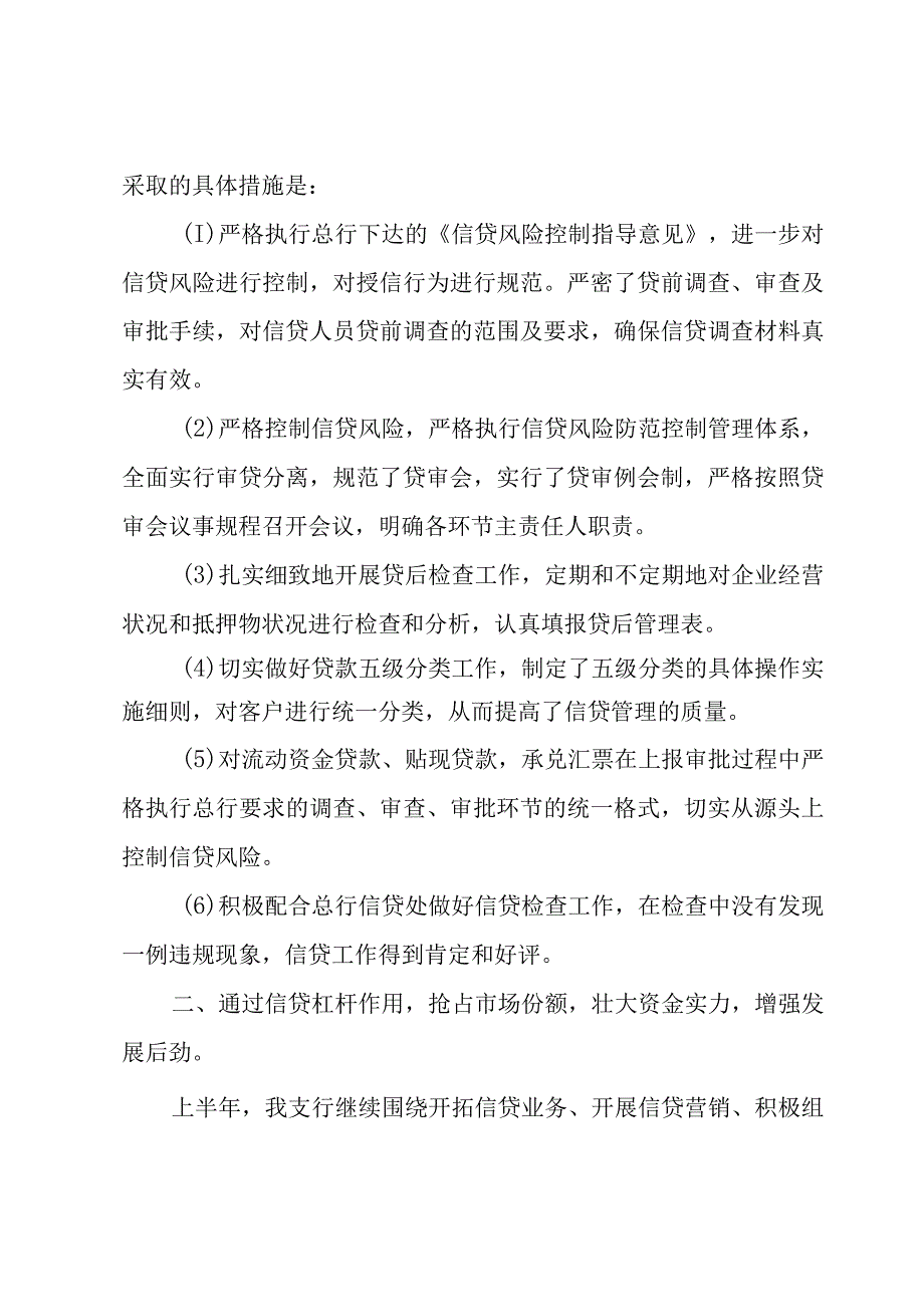 银行风险经理个人工作总结（3篇）.docx_第2页