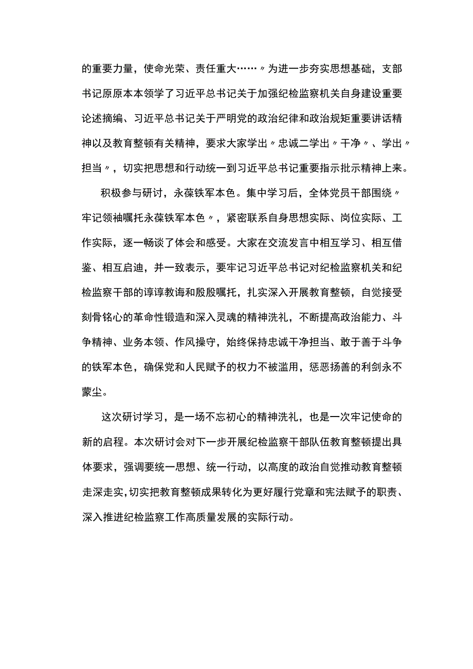 2023年队伍教育整顿纪检监察干部“牢记领袖嘱托永葆铁军本色”心得体会及研讨发言两篇.docx_第3页