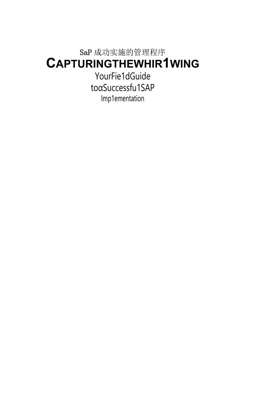 sap成功实施的管理程序.docx_第1页