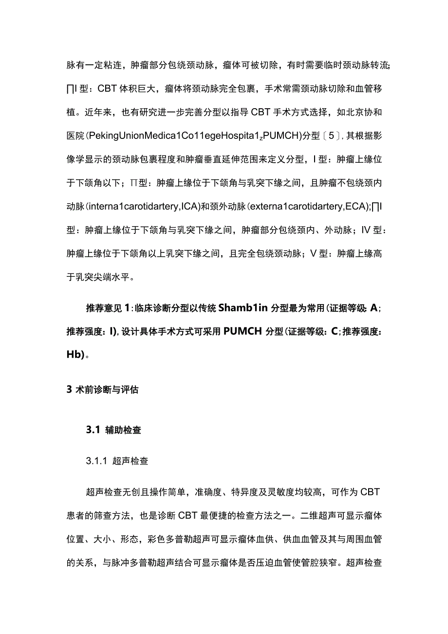 2023颈动脉体瘤外科手术规范专家共识（最全版）.docx_第3页