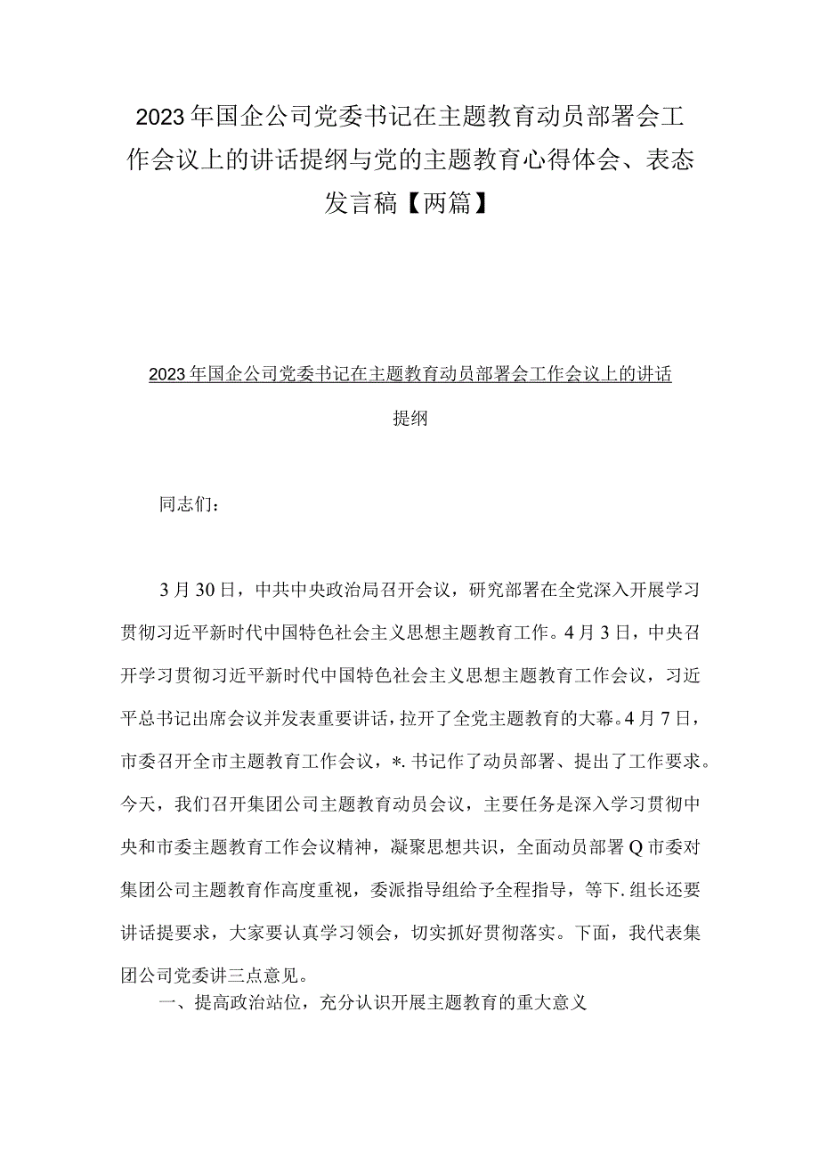 2023年国企公司党委书记在主题教育动员部署会工作会议上的讲话提纲与党的主题教育心得体会、表态发言稿【两篇】.docx_第1页