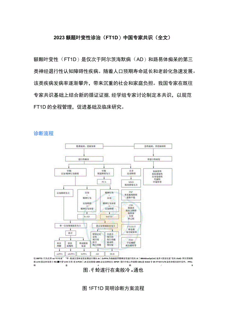 2022额颞叶变性诊治（FTLD）中国专家共识（全文）.docx_第1页