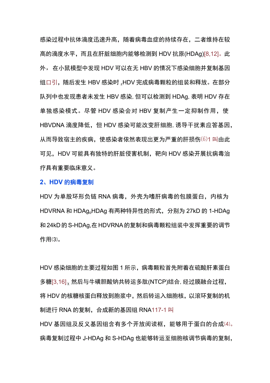 2023丁型肝炎抗病毒治疗药物的研究进展.docx_第2页