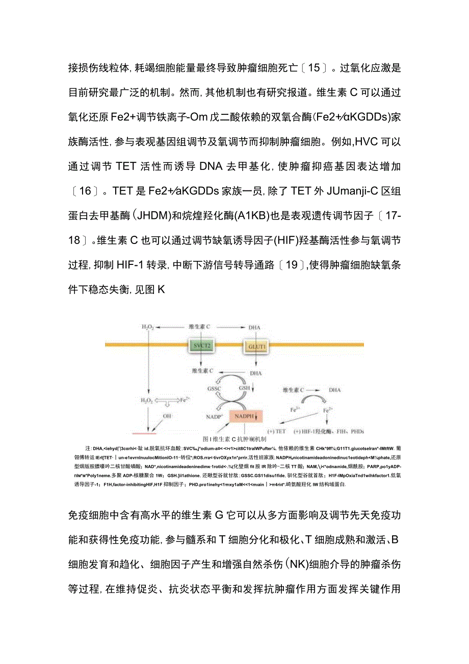 2023大剂量维生素C抗肿瘤治疗的研究进展.docx_第3页