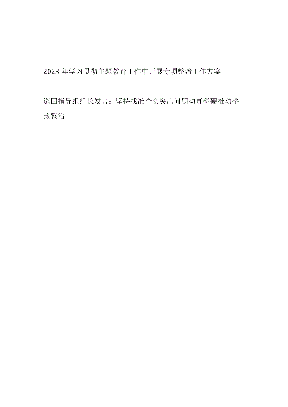 2023年主题教育专项整治工作实施方案和巡回指导组组长发言.docx_第1页