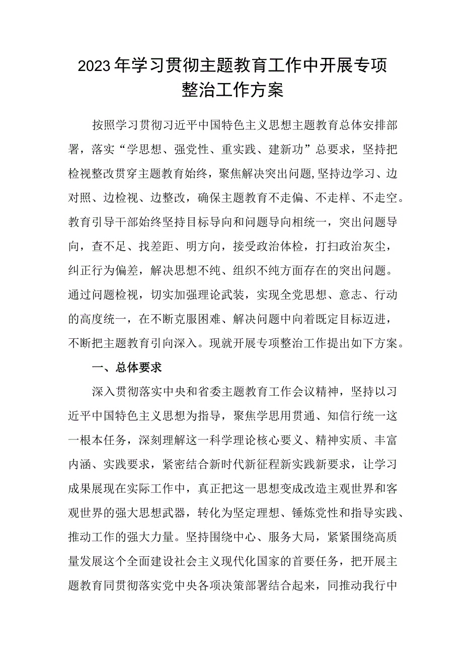 2023年主题教育专项整治工作实施方案和巡回指导组组长发言.docx_第2页