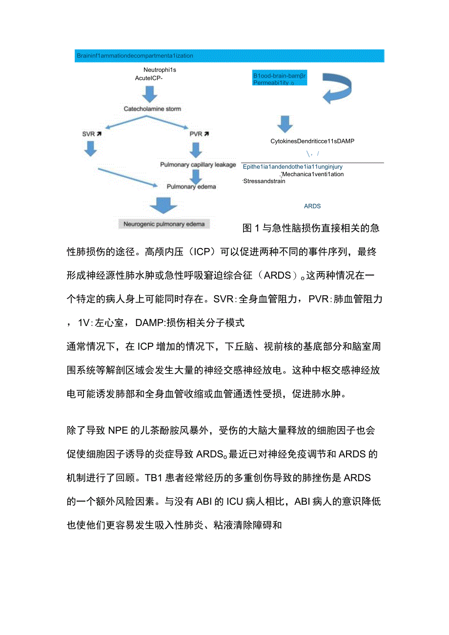 2023不同类型急性脑损伤患者的呼吸挑战和通气管理.docx_第3页