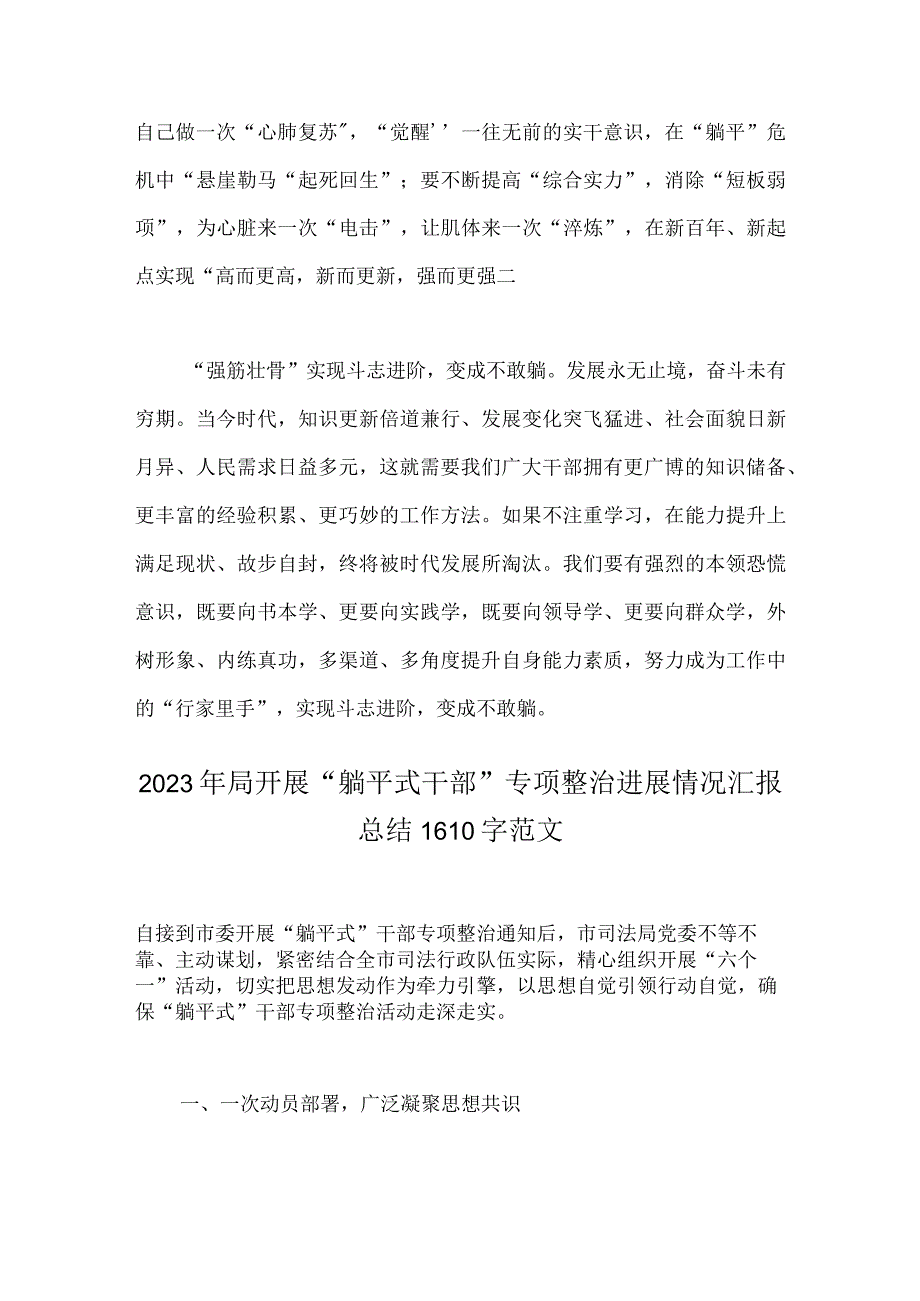 【八篇】：2023年开展“躺平式干部”专项学习研讨心得体会发言材料、整治进展情况汇报总结.docx_第3页