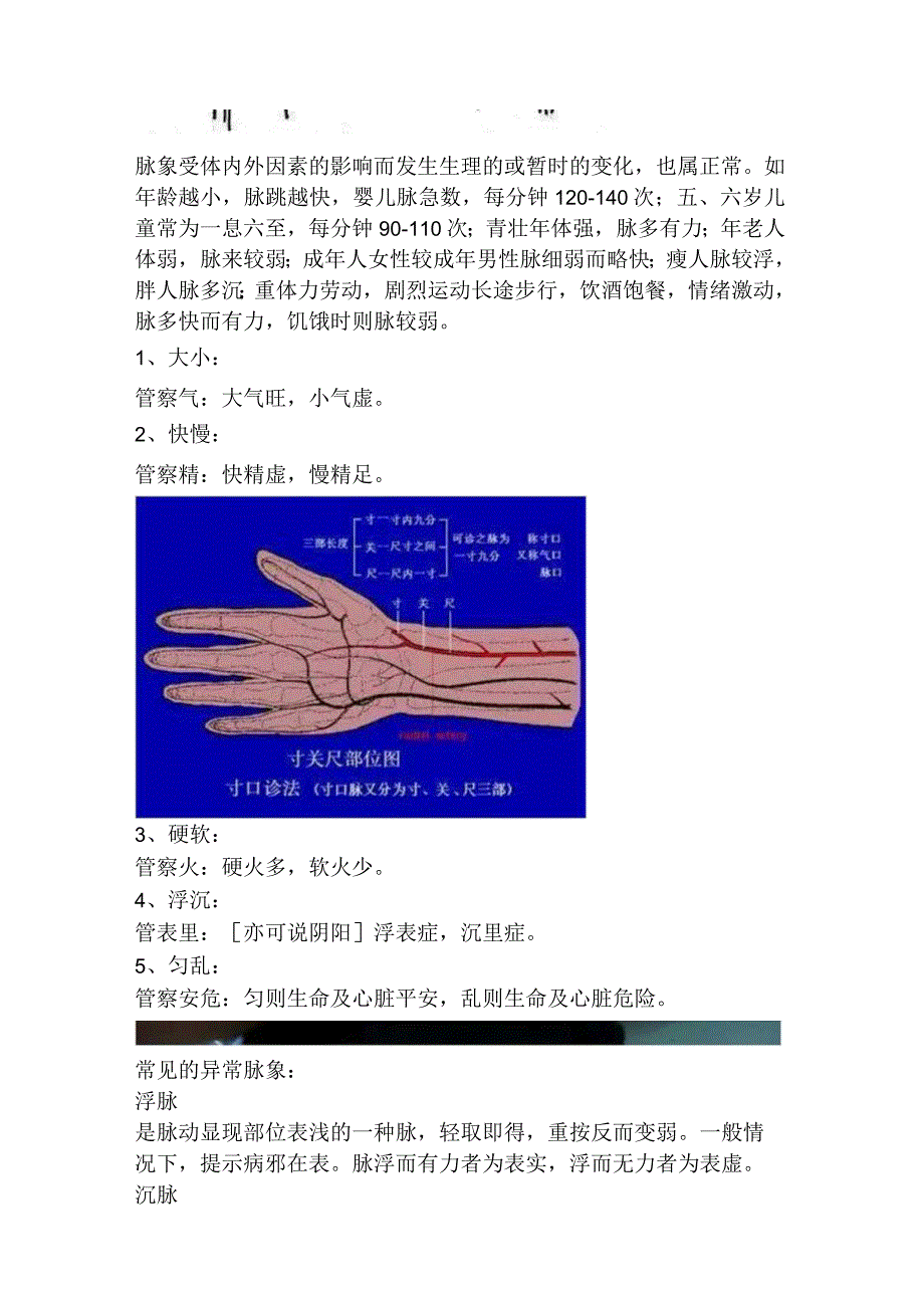 中医把脉学习基础.docx_第2页