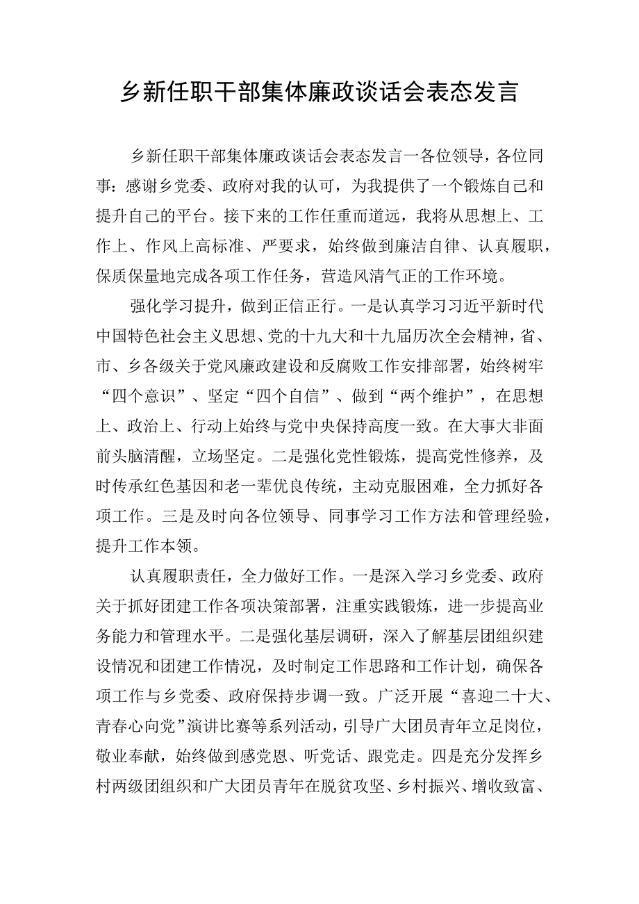 乡新任职干部集体廉政谈话会表态发言.docx_第1页