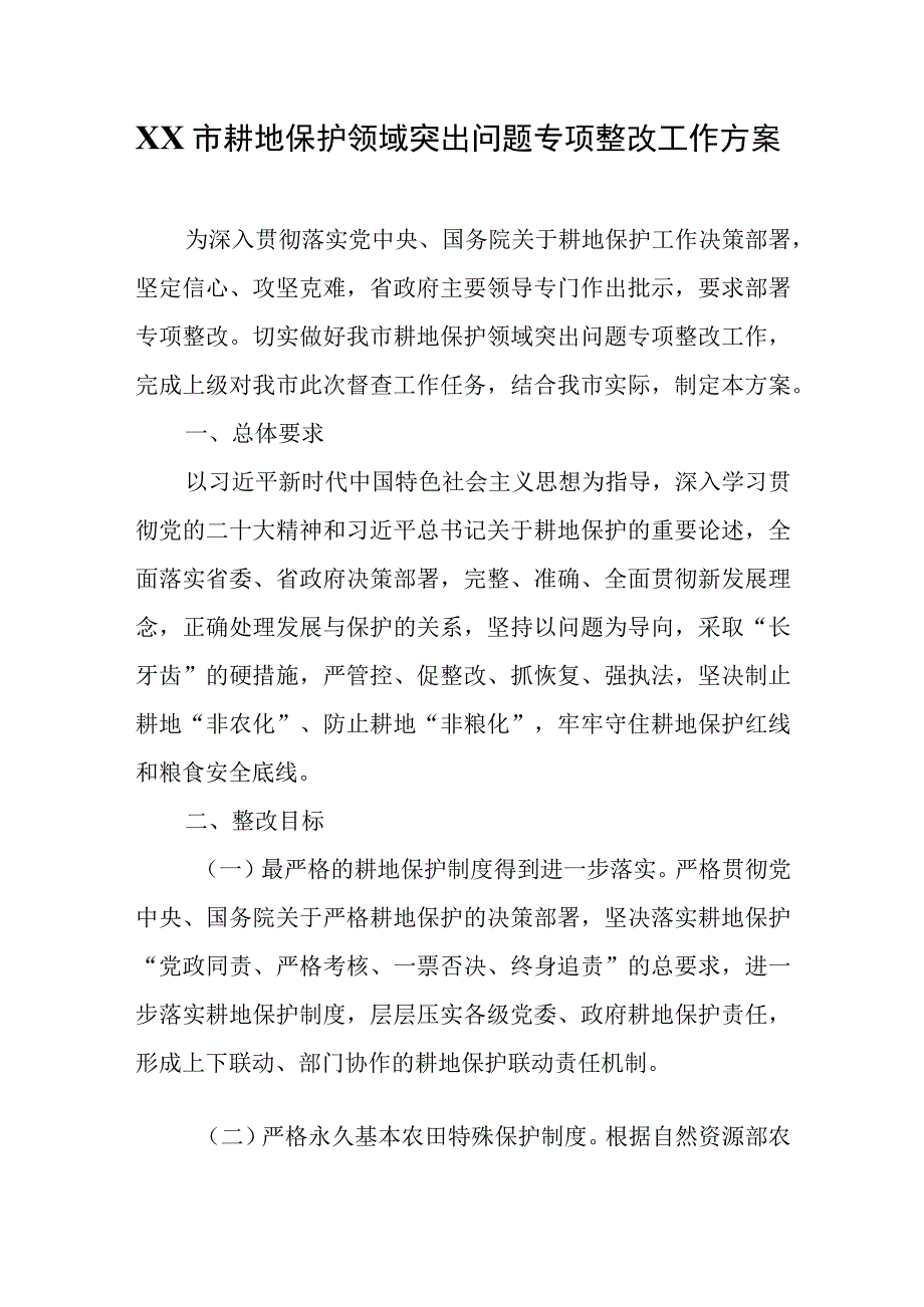 XX市耕地保护领域突出问题专项整改工作方案.docx_第1页