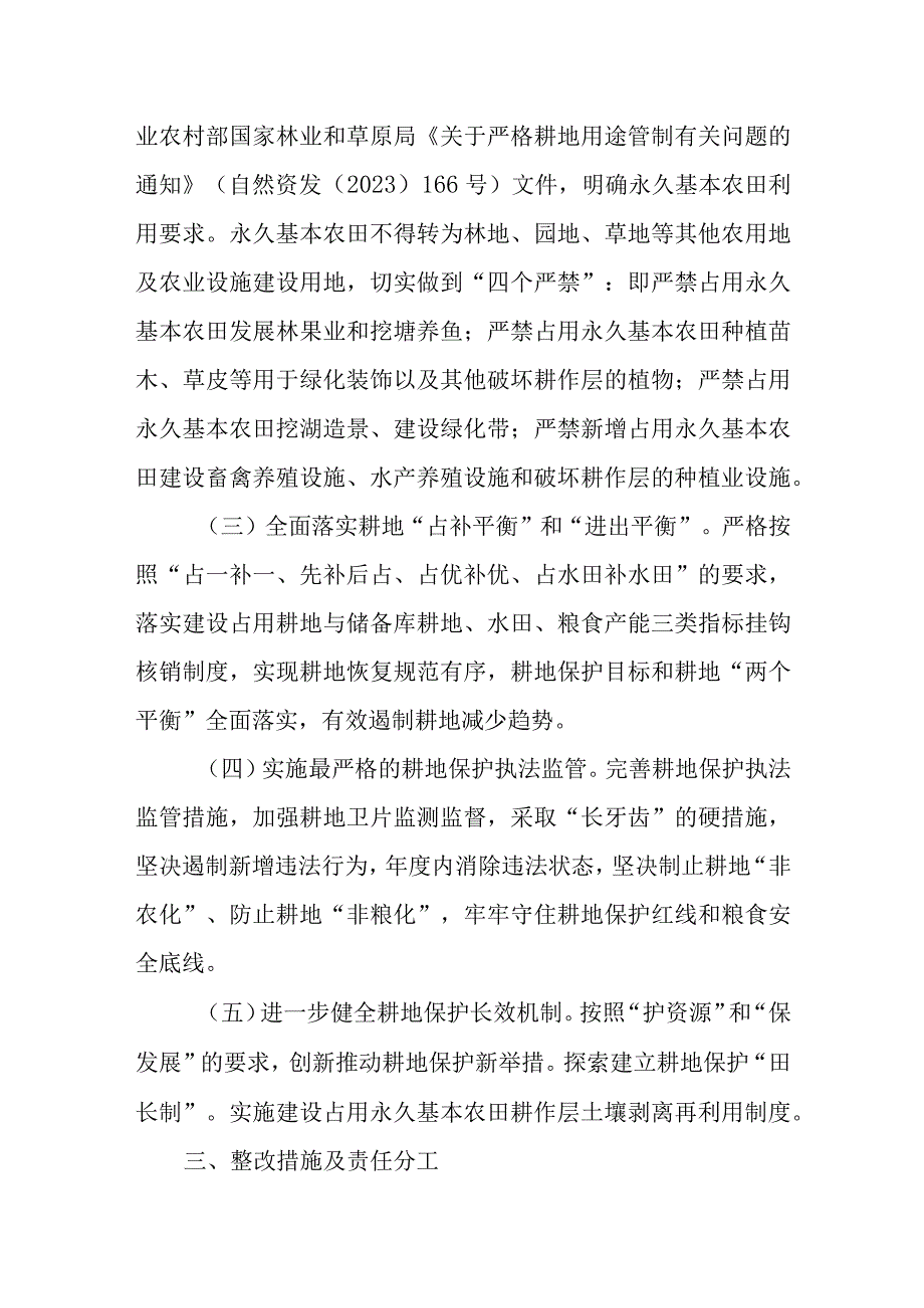 XX市耕地保护领域突出问题专项整改工作方案.docx_第2页