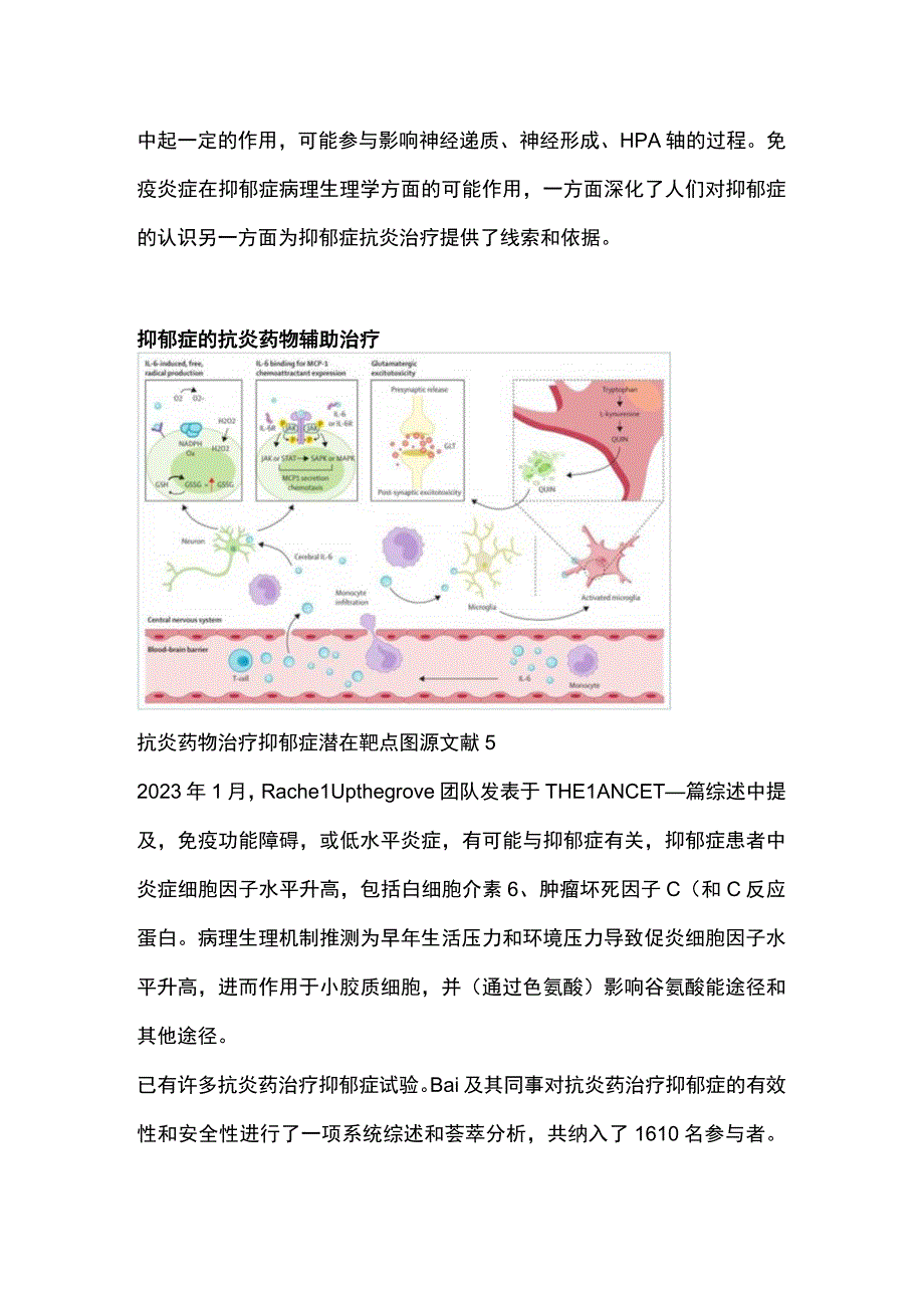 最新：抗炎免疫与抑郁症——神经免疫与抑郁症.docx_第2页