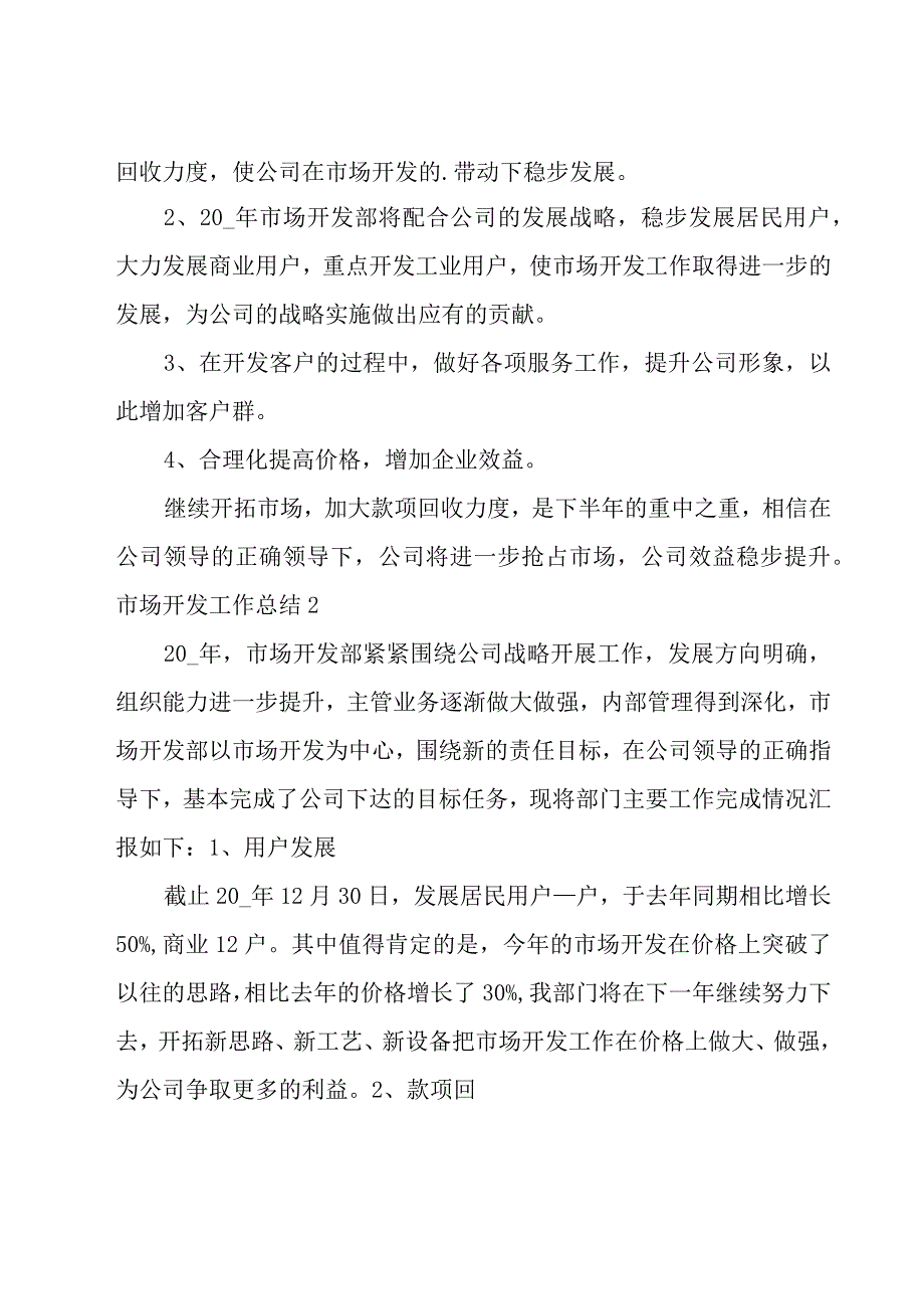 市场开发工作总结.docx_第2页