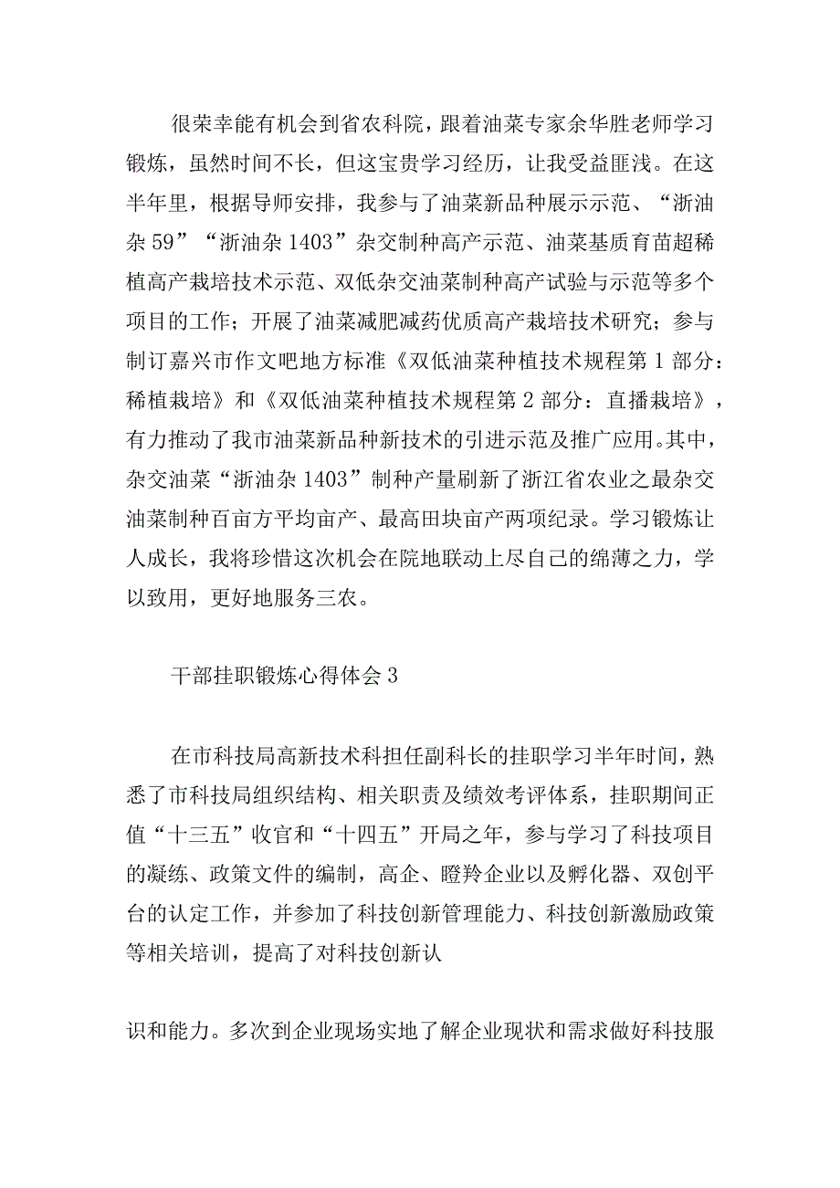 干部挂职锻炼心得体会简洁6篇.docx_第2页