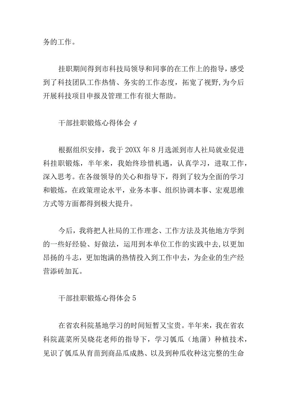 干部挂职锻炼心得体会简洁6篇.docx_第3页