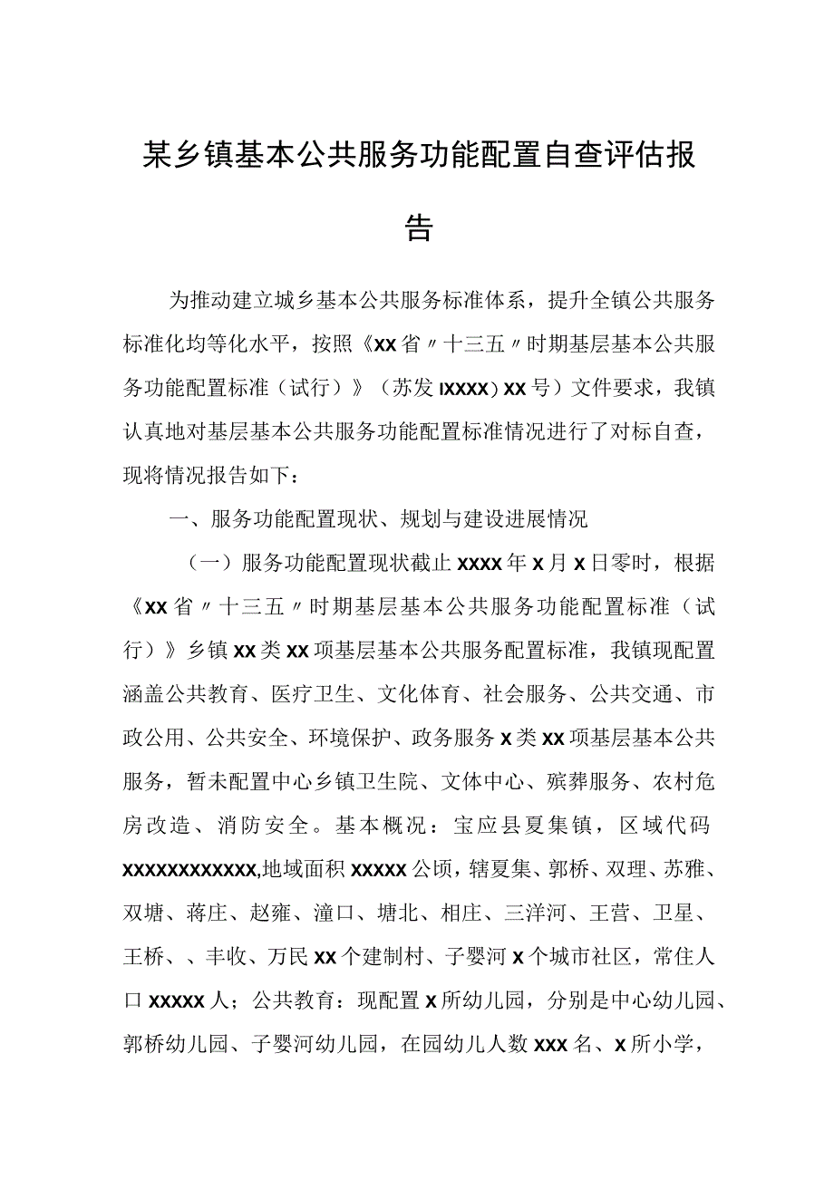 某乡镇基本公共服务功能配置自查评估报告.docx_第1页