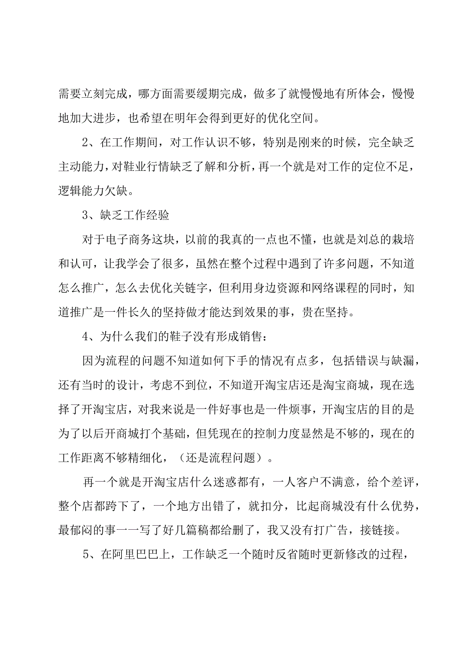 电子商务的年终工作总结（17篇）.docx_第3页