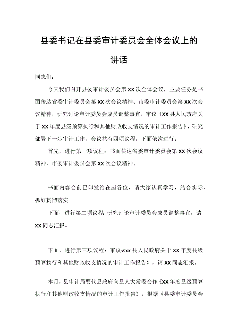 县委书记在县委审计委员会全体会议上的讲话.docx_第1页