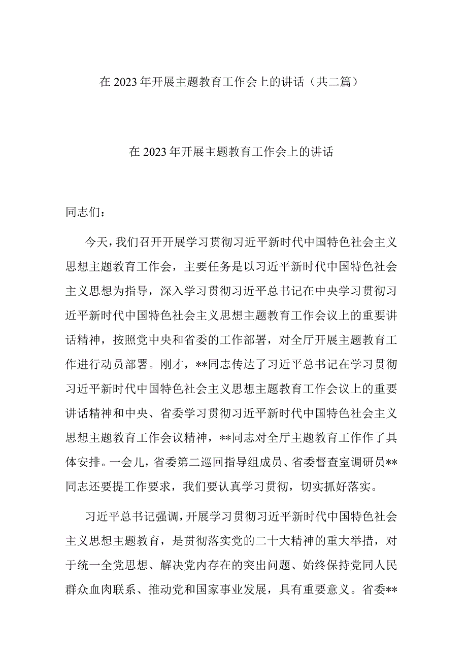 在2023年开展主题教育工作会上的讲话(共二篇).docx_第1页