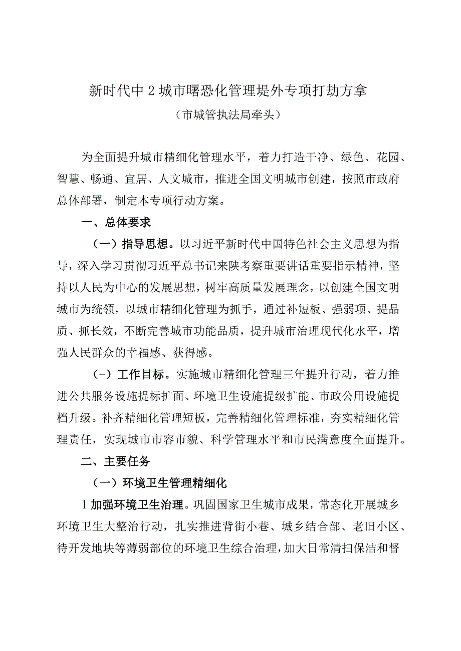 新时代中心城区精细化管理提升专项行动方案.docx_第1页