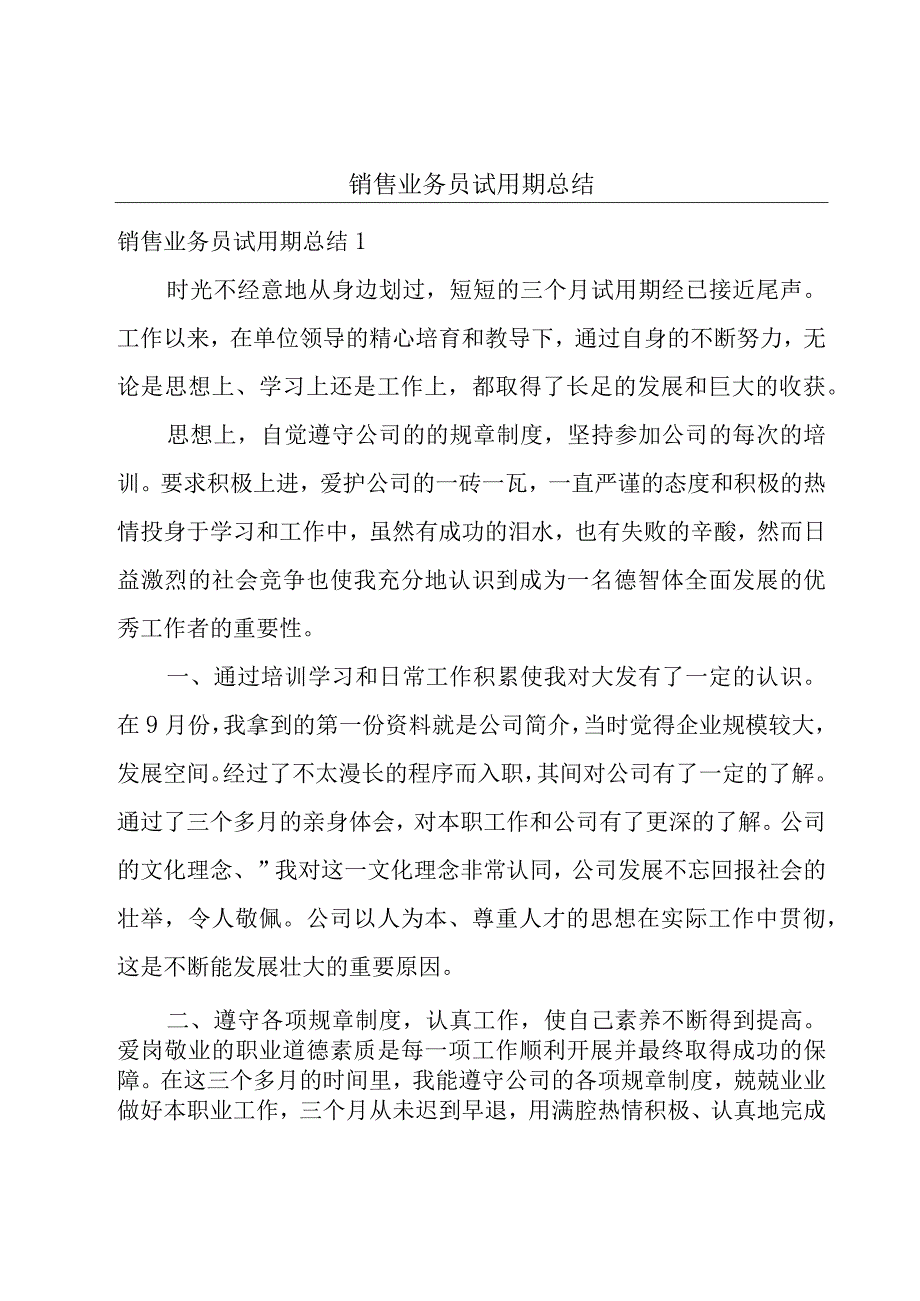 销售业务员试用期总结.docx_第1页