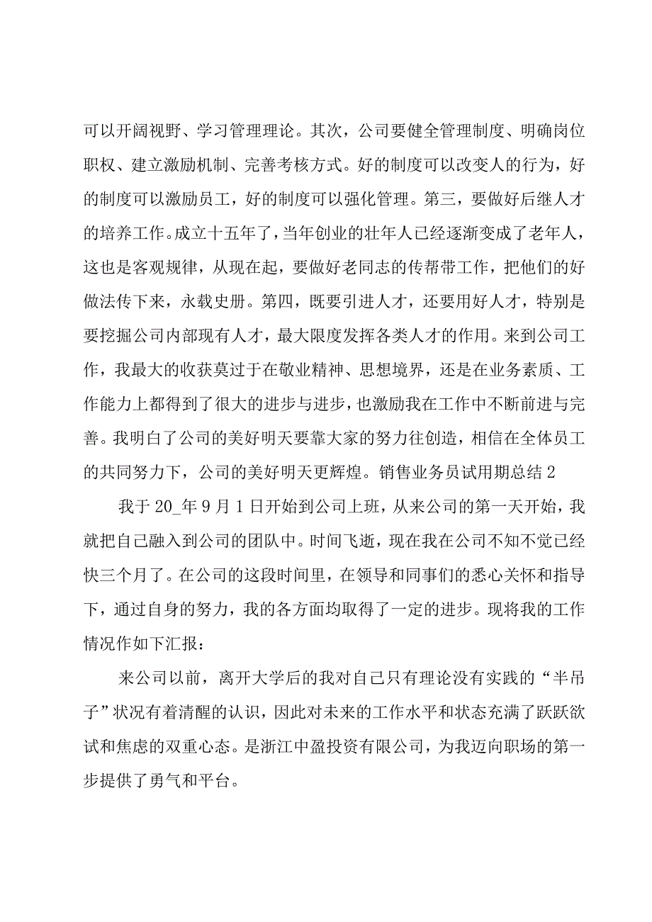 销售业务员试用期总结.docx_第3页