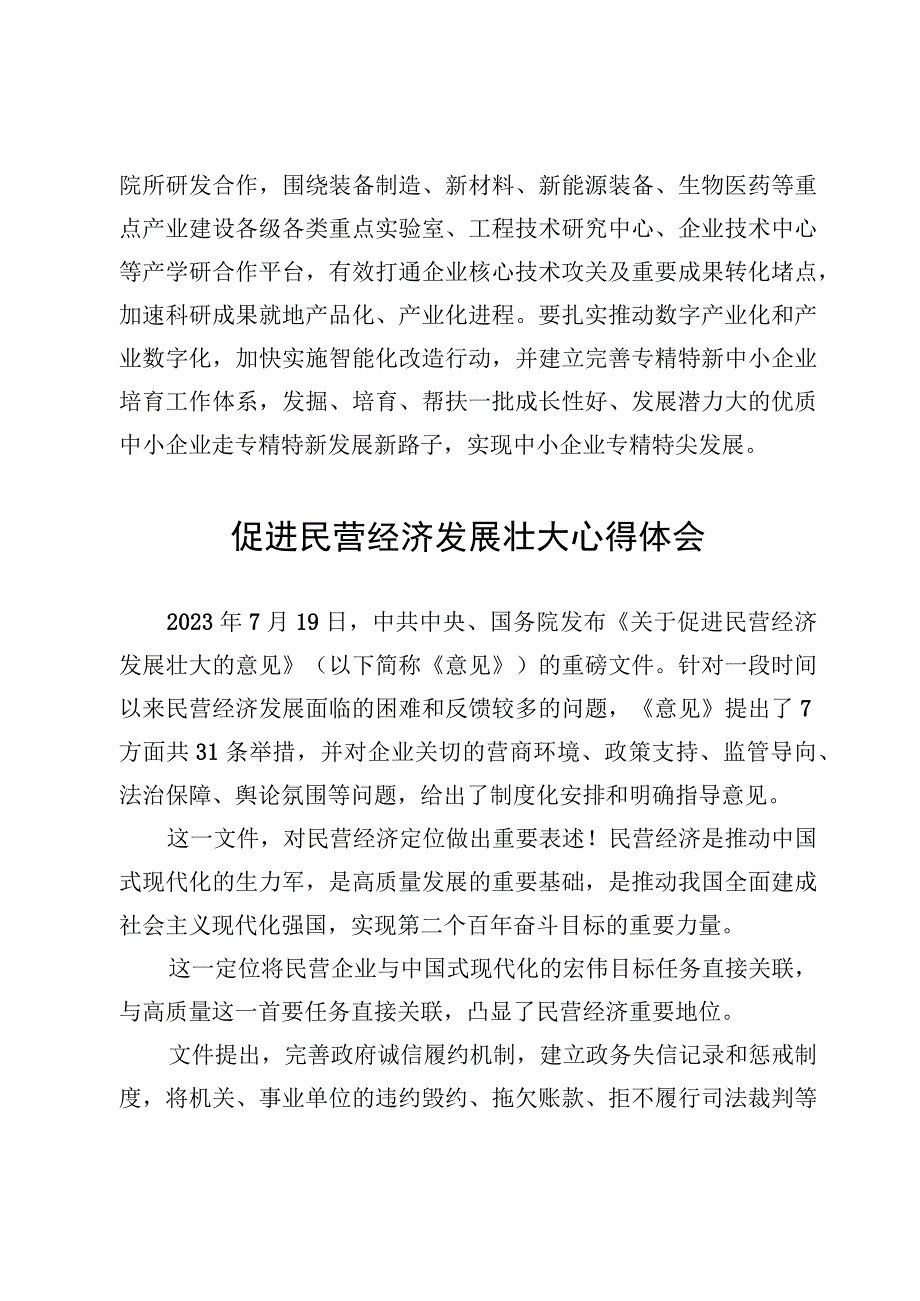 学习贯彻《关于促进民营经济发展壮大的意见》心得体会发言（3篇）.docx_第3页