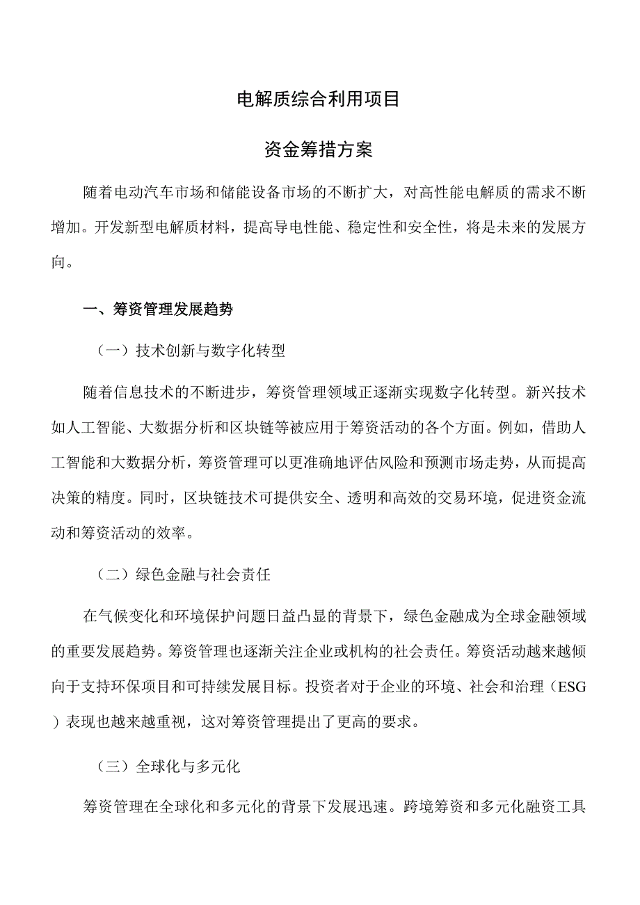 电解质综合利用项目资金筹措方案参考范文.docx_第1页