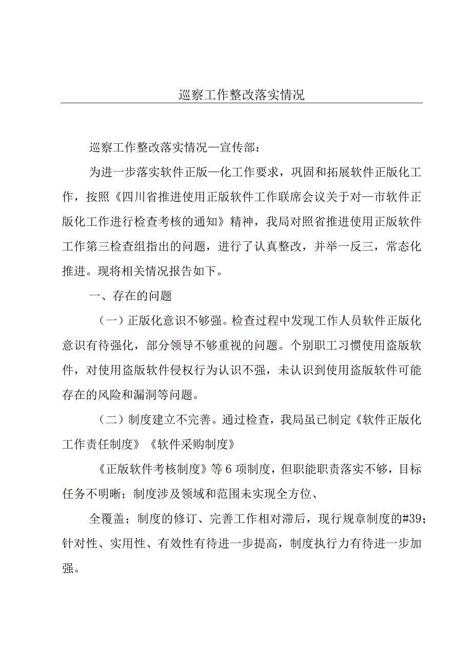 巡察工作整改落实情况.docx_第1页