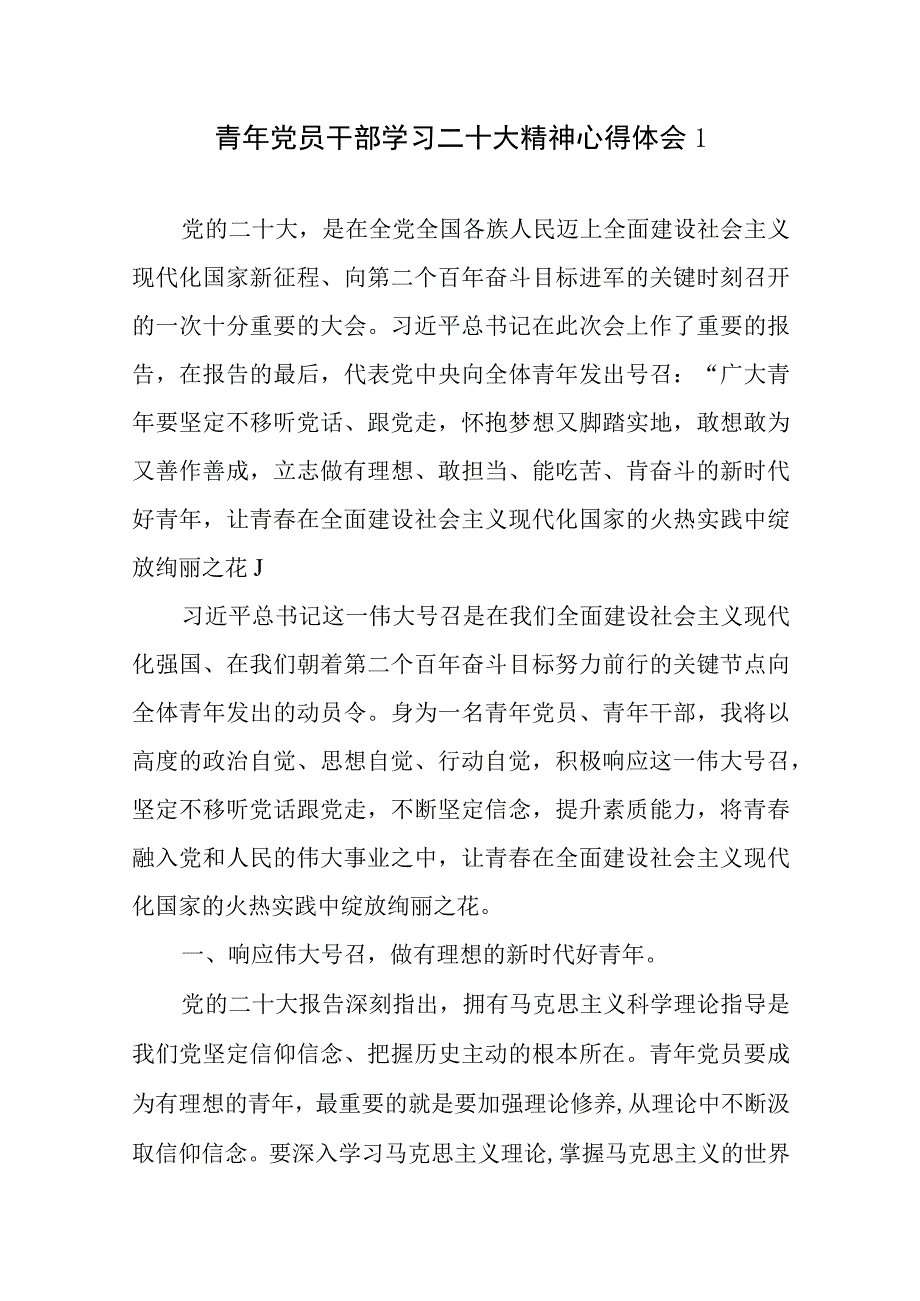 青年党员干部贯彻落实二十大报告精神学习心得体会10篇.docx_第1页