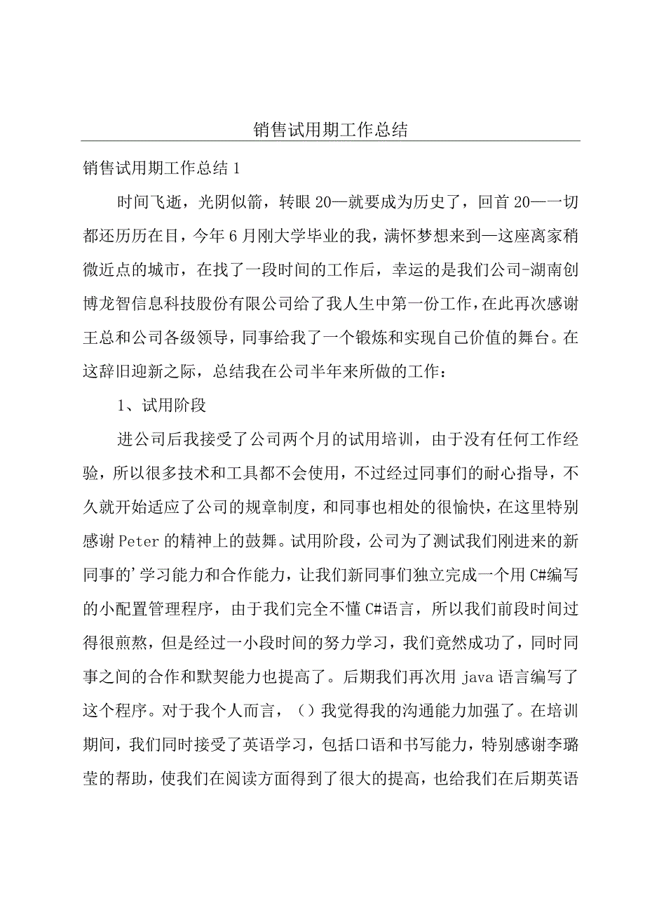 销售试用期工作总结.docx_第1页